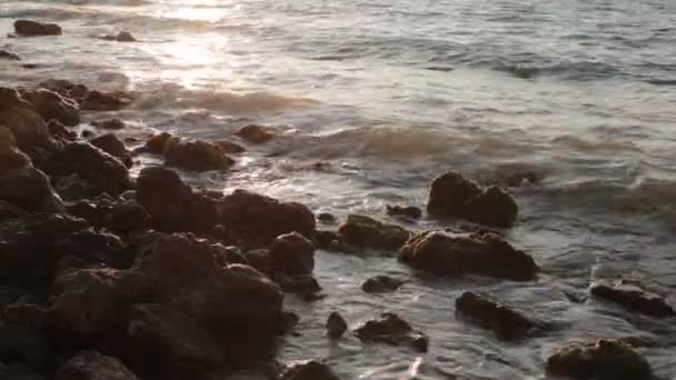 Beleza Natural Paisagem Marinha Ondas Oceano Poder Dos Grãos — Vídeo de Stock