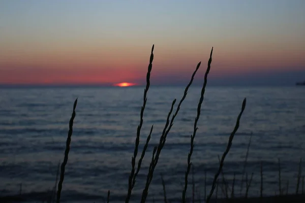 Sonnenaufgang Auf Dem Ozean Schöne Aussicht Auf Das Wasser Und — Stockfoto