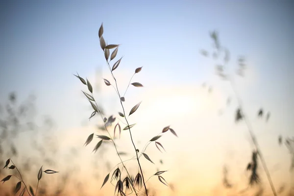 Úsvit Oceánu Nádherný Výhled Vodu Neuvěřitelný Gradient Barev Obloze Relaxace — Stock fotografie