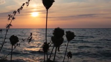 Dawn su okyanus güzel görünümü ve gökyüzünde renklerin alışılmadık bir degrade, rahatlama ve huzur ve gün batımında deniz tarafından tam sakin