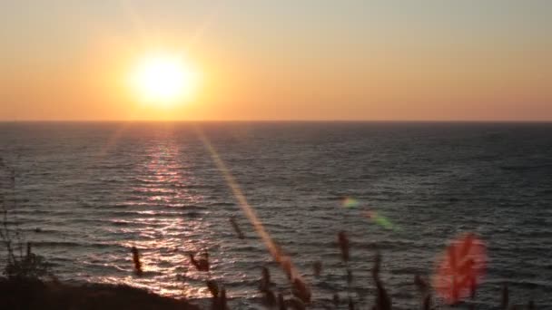 Hajnalban Óceán Gyönyörű Kilátás Vízre Szokatlan Gradiens Színek Égen Pihenés — Stock videók