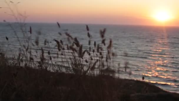 Amanecer Océano Hermosa Vista Del Agua Inusual Gradiente Colores Cielo — Vídeo de stock