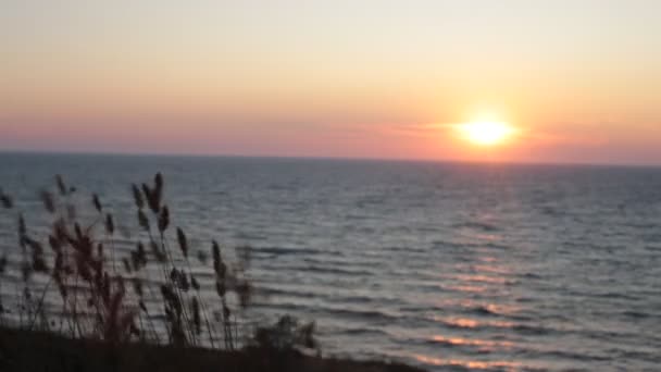 Hajnalban Óceán Gyönyörű Kilátás Vízre Szokatlan Gradiens Színek Égen Pihenés — Stock videók