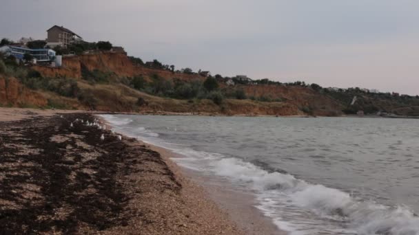 Αυγή Στον Ωκεανό Όμορφη Θέα Του Νερού Και Μια Ασυνήθιστη — Αρχείο Βίντεο