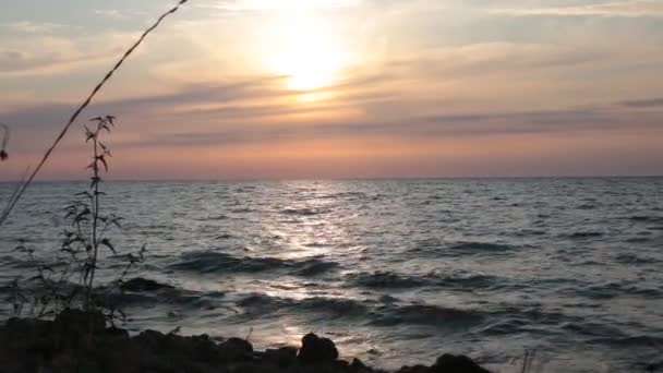 바다의 아름다운 전망과 휴식과 평온과 일몰에 바다에 완전한 색상의 특이한 — 비디오