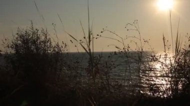 Dawn su okyanus güzel görünümü ve gökyüzünde renklerin alışılmadık bir degrade, rahatlama ve huzur ve gün batımında deniz tarafından tam sakin