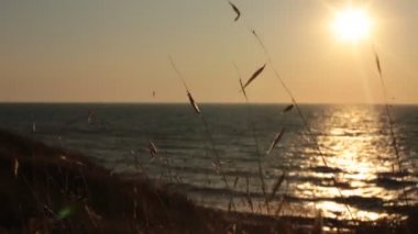 Dawn su okyanus güzel görünümü ve gökyüzünde renklerin alışılmadık bir degrade, rahatlama ve huzur ve gün batımında deniz tarafından tam sakin