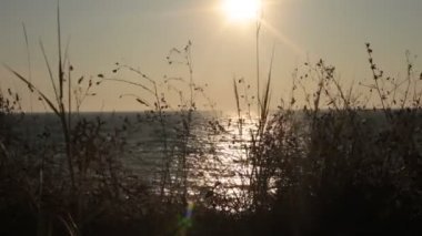 Dawn su okyanus güzel görünümü ve gökyüzünde renklerin alışılmadık bir degrade, rahatlama ve huzur ve gün batımında deniz tarafından tam sakin