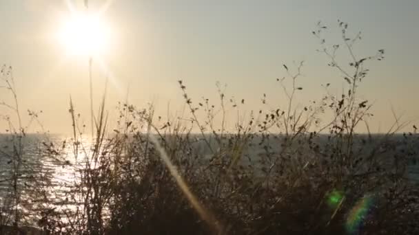 Úsvit Oceánu Nádherný Výhled Vodu Neobvyklý Gradient Barev Obloze Relaxace — Stock video