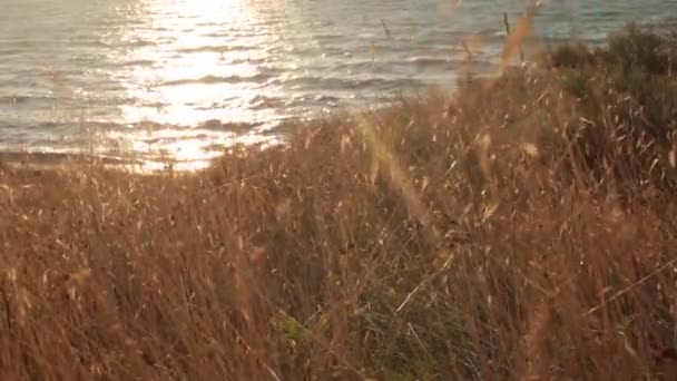 Alba Sull Oceano Bellissima Vista Sull Acqua Insolita Pendenza Colori — Video Stock