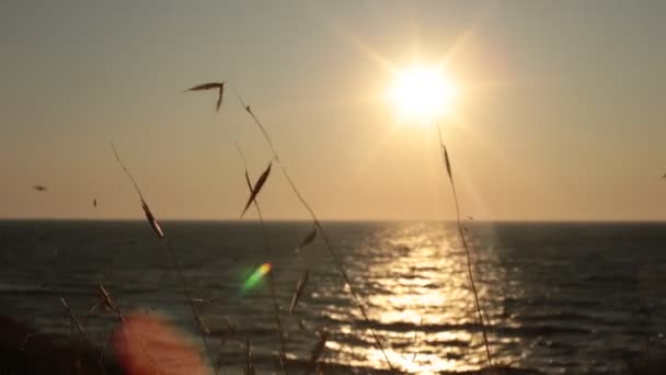 Gryning Havet Vacker Utsikt Över Vattnet Och Ovanlig Gradient Färger — Stockvideo