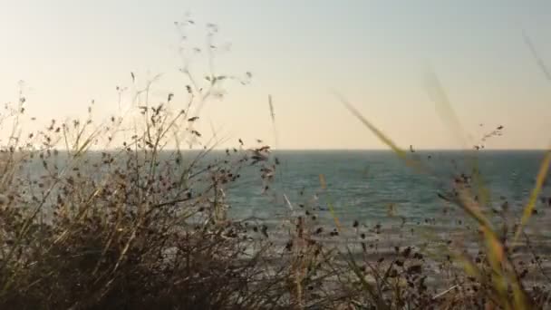 Dawn Ocean Beautiful View Water Unusual Gradient Colors Sky Relaxation — Stock Video