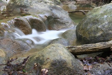craggy ve kayalık arazi ve küçük şelaleler, güzel canlı doğa