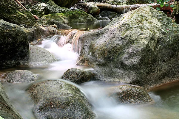 craggy ve kayalık arazi ve küçük şelaleler, güzel canlı doğa