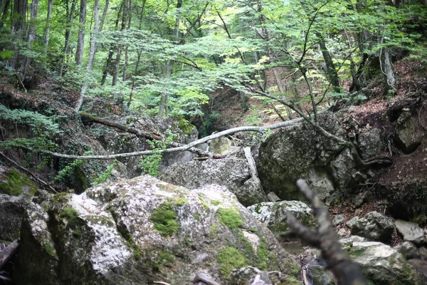 岩だらけで岩の多い地形と小さな滝 美しい生きた自然 — ストック写真