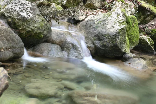 craggy ve kayalık arazi ve küçük şelaleler, güzel canlı doğa