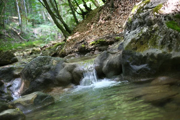 Скелястий Скелястий Рельєф Дрібні Водоспади Красива Жива Природа — стокове фото
