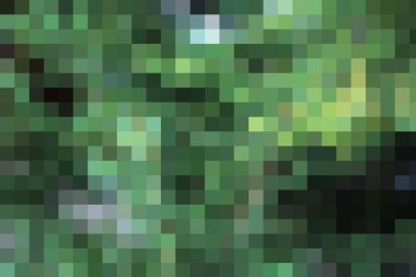  yeşil serin arka plan illüstrasyon tasarım farklı tonları