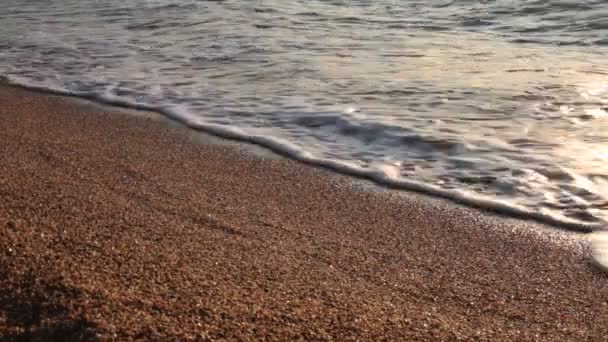 Гальковий Пляж Океан Маленькі Хвилі Розслабляються Під Морським Серфінгом — стокове відео