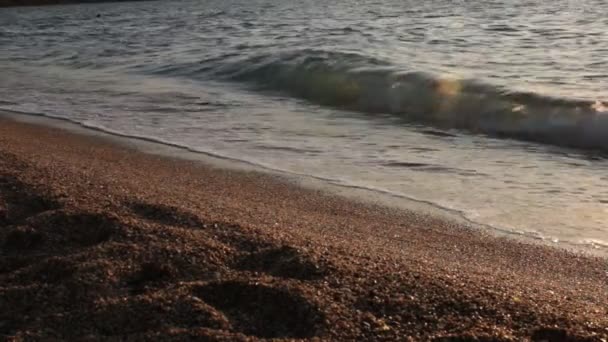 Pebble Beach Ocean Small Waves Relaxing Sea Surf — Stock Video