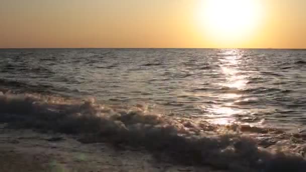 卵石海滩海洋和小浪下冲浪放松 — 图库视频影像