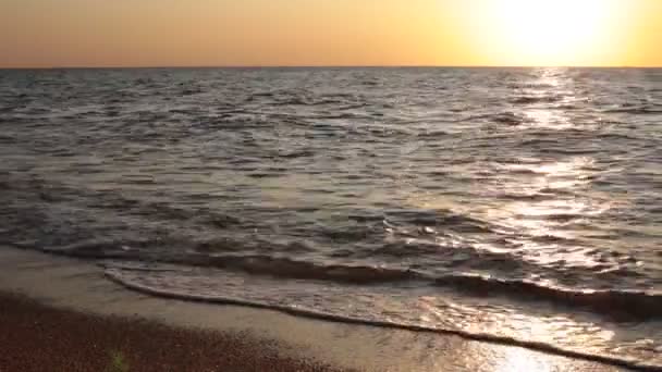 Playa Guijarros Océano Pequeñas Olas Relajándose Bajo Mar Surf — Vídeos de Stock