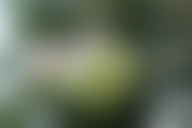 Soyut arka plan soluk bastırılmış doğal renkler, illüstrasyon eğilim yeşil farklı tonları