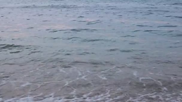 Ιστορικό Για Διαλογισμό Βότσαλο Παραλία Και Μεγάλα Κύματα — Αρχείο Βίντεο