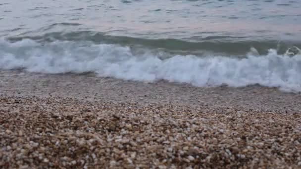 Ιστορικό Για Διαλογισμό Βότσαλο Παραλία Και Μεγάλα Κύματα — Αρχείο Βίντεο