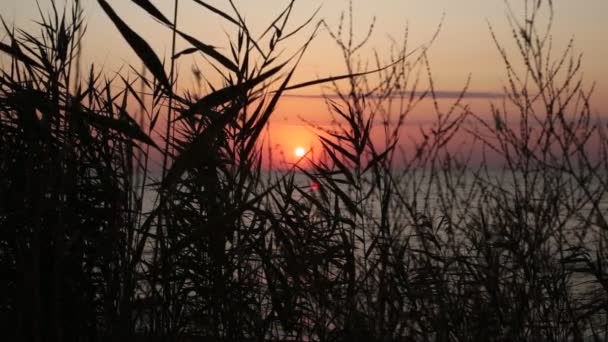 Contemplatie Van Zonsondergang Oceaan Ontspanning Pacificatie Natuurlijke Achtergrond Voor Meditatie — Stockvideo