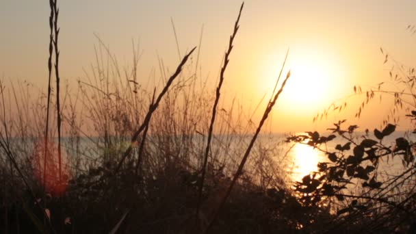 Betrachtung Des Sonnenuntergangs Meer Entspannung Und Beruhigung Natürlicher Hintergrund Für — Stockvideo