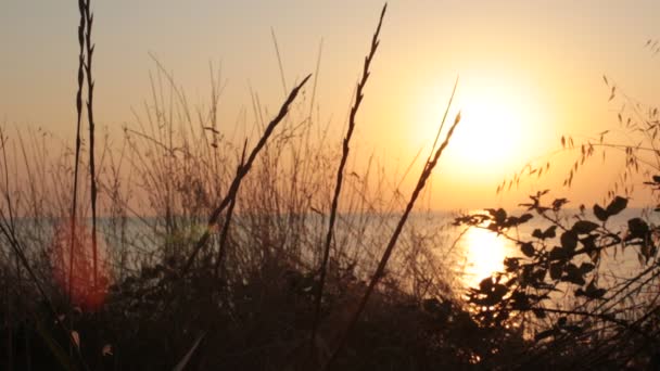 Contemplation Sunset Ocean Relaxation Pacification Natural Background Meditation — Stock Video