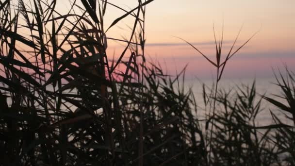 Созерцание Заката Над Океаном Отдых Умиротворение Естественный Фон Медитации — стоковое видео