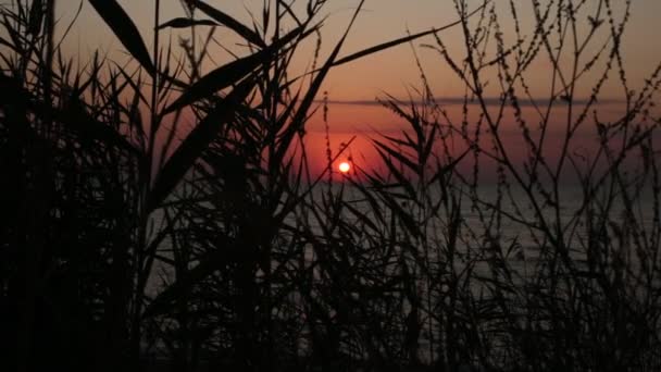 海に沈む夕日の条件 リラクゼーションと瞑想のための自然な背景 — ストック動画