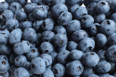 Sulu olgun böğürtlenlerin Macro fotoğrafı.