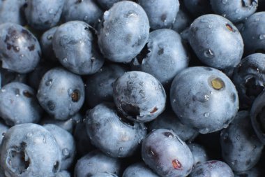 Sulu olgun böğürtlenlerin Macro fotoğrafı.