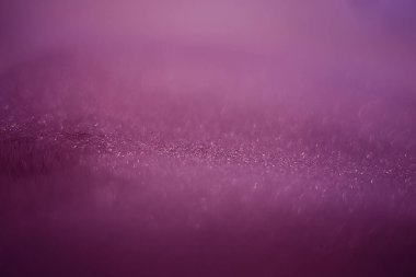 Arkaplan kumları kırılgan pullar, yanıp sönen parıldayan parıltılarla bokeh