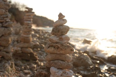 Flora ve Fauna deniz manzarasının doğal güzelliği