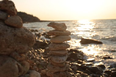 Flora ve Fauna deniz manzarasının doğal güzelliği