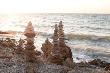 Flora ve Fauna deniz manzarasının doğal güzelliği