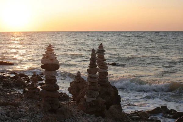 Flora and fauna natural beauty of the sea landscape