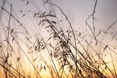 Gündoğumlarının ve günbatımlarının doğal güzelliği