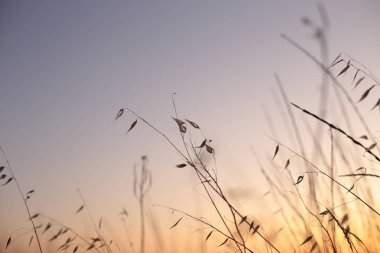 Gündoğumlarının ve günbatımlarının doğal güzelliği