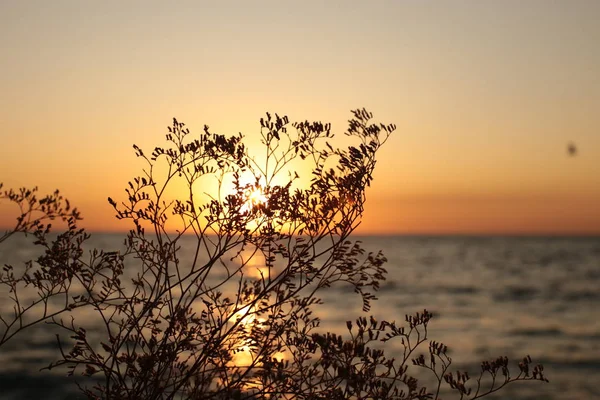 Napfelkelte Naplemente Természetes Szépsége — Stock Fotó