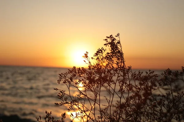 Beauté Naturelle Des Levers Couchers Soleil — Photo