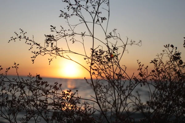 Die Natürliche Schönheit Von Sonnenaufgängen Und Sonnenuntergängen — Stockfoto