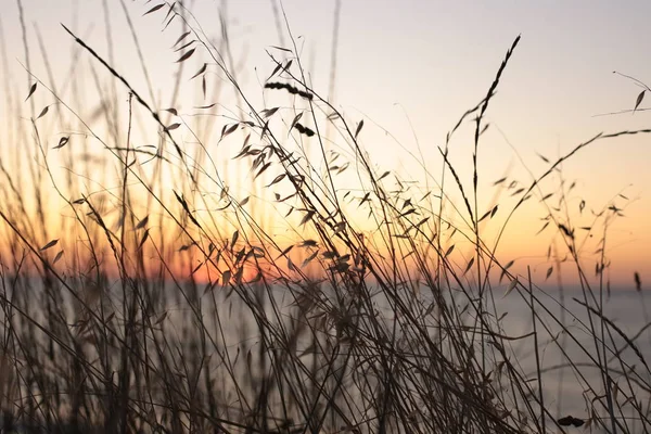 Beleza Natural Nascer Sol Pôr Sol — Fotografia de Stock