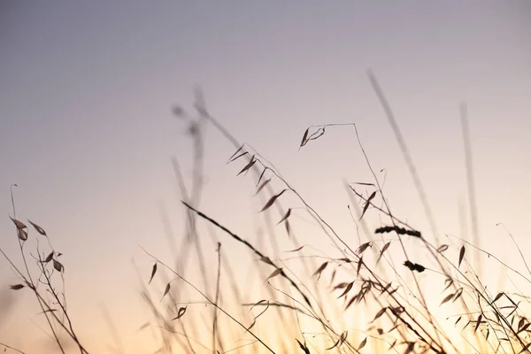 Přirozená Krása Východů Západů Slunce — Stock fotografie