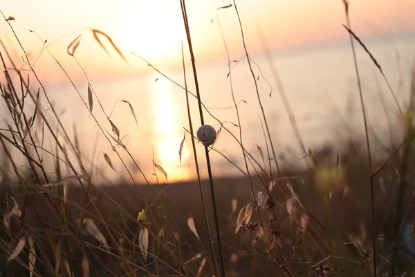 Природная Красота Восходов Закатов — стоковое фото