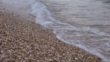 Bitki örtüsünün doğal güzelliği ve rahatlama videosu